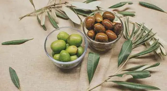 olives-4636996_640